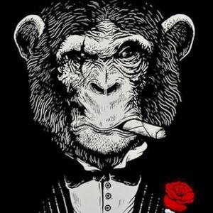 Meet your Posher, Albert